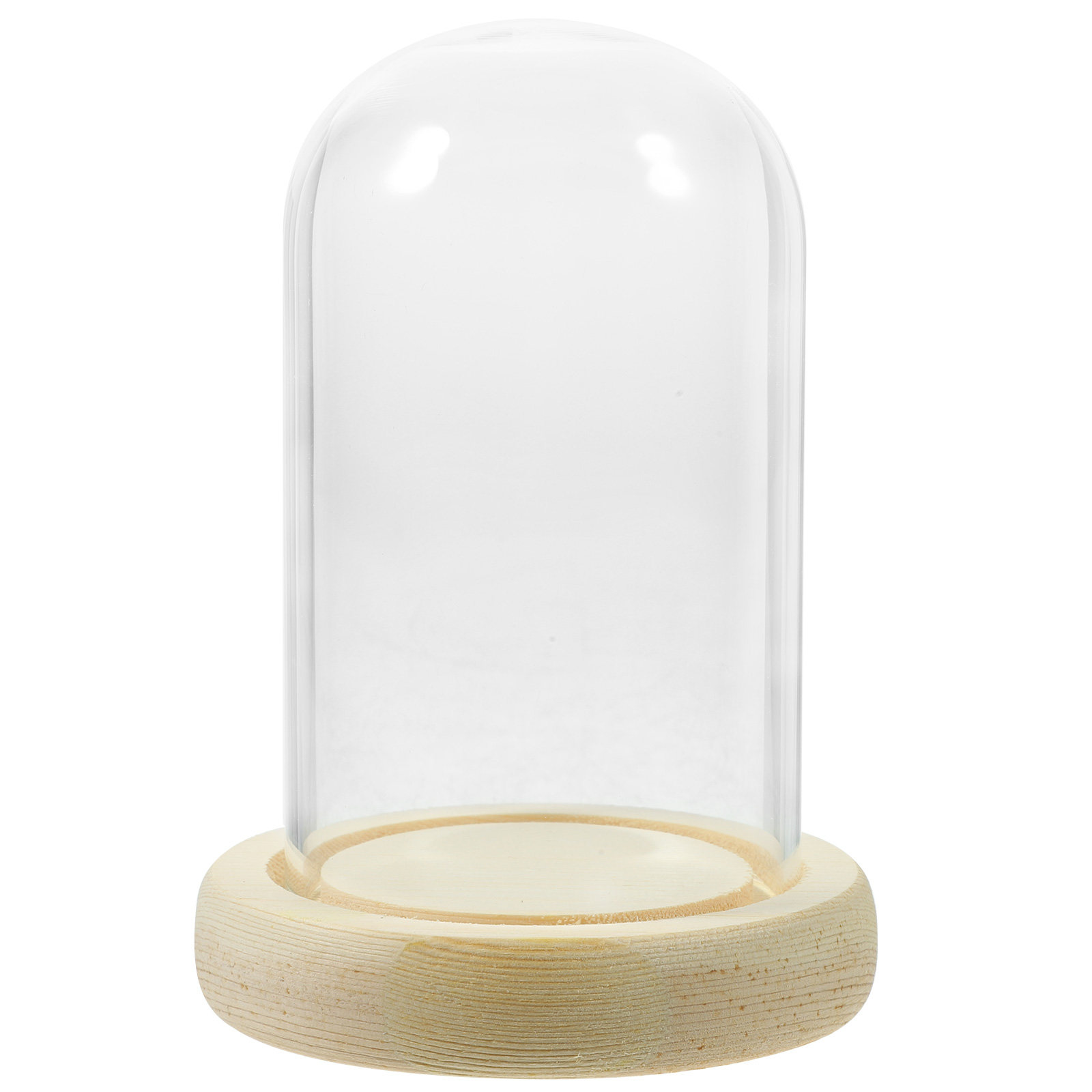 1Pcs Cake Glass Shade Dome Hig - đánh giá và giá High Jewelry Watches